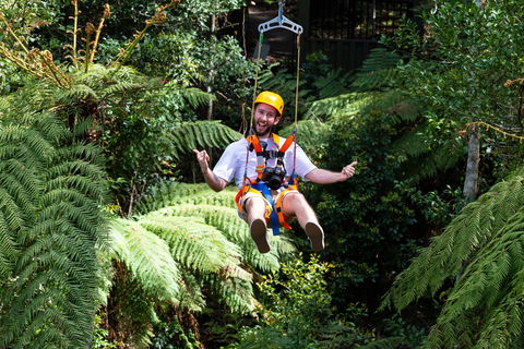 Zipline At Illawarra Fly - New Castle Holiday 2