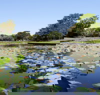 Anderson Park Botanic Gardens - New Castle Holiday