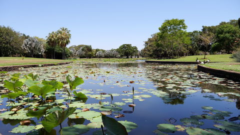 Anderson Park Botanic Gardens - New Castle Holiday 0