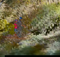 Australian Arid Lands Botanic Garden - New Castle Holiday