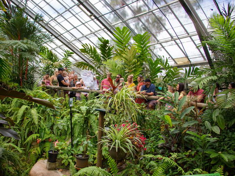 Australian Butterfly Sanctuary - New Castle Holiday 2