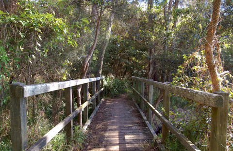 Awaba Bay Foreshore Walk - New Castle Holiday 0