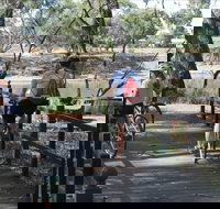 Bidgee Riverside Trail  - Hay Nature Walk - New Castle Holiday