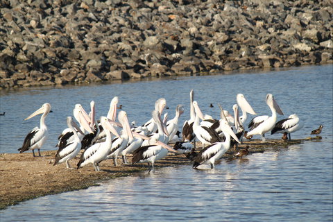 Bjelke-Petersen Dam - New Castle Holiday 2