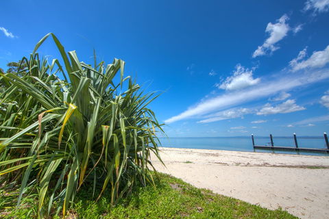 Bongaree Walkabout - New Castle Holiday 0