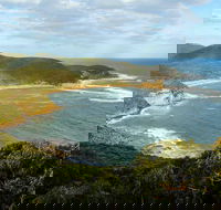 Bullimah Spur Track - New Castle Holiday