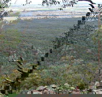 Burrabadine Walking Track - New Castle Holiday