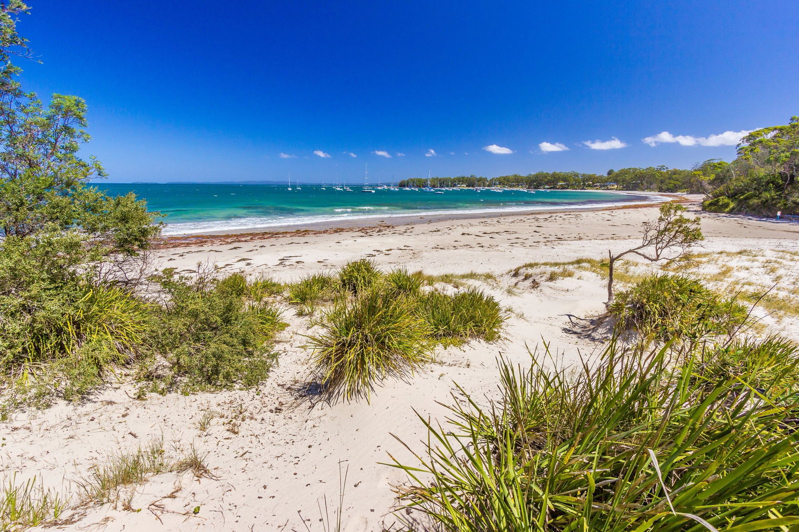Callala Bay NSW New Castle Holiday