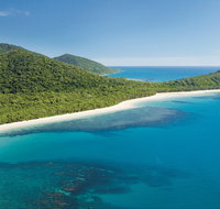 Cape Tribulation Daintree National Park - New Castle Holiday