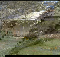 Castlemaine Diggings National Heritage Park - New Castle Holiday