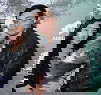 Cleland Wildlife Park - Koala Hold - New Castle Holiday