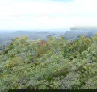 Collombatti Lookout - New Castle Holiday