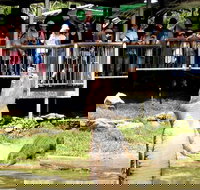 Crocodylus Park and Zoo - New Castle Holiday