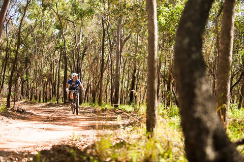 Davies Creek Mountain Bike Park - New Castle Holiday 1