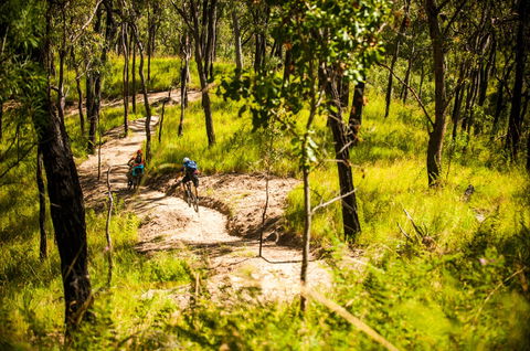 Davies Creek Mountain Bike Park - New Castle Holiday 2