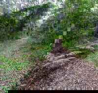 Double Wharf Trail - New Castle Holiday