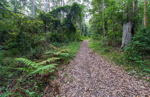 Double Wharf Trail - New Castle Holiday 0