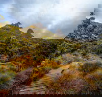 Dove Lake - New Castle Holiday