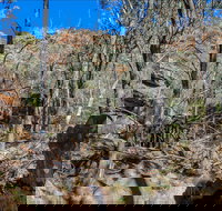 Eualdrie Walking Track - New Castle Holiday