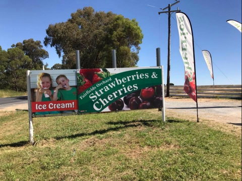 Fairfield Orchard - New Castle Holiday 0