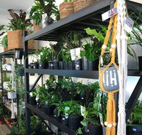 Fancy Plants - New Castle Holiday