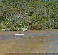 Fitzpatrick Park - New Castle Holiday