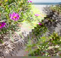 Fort Bribie - New Castle Holiday