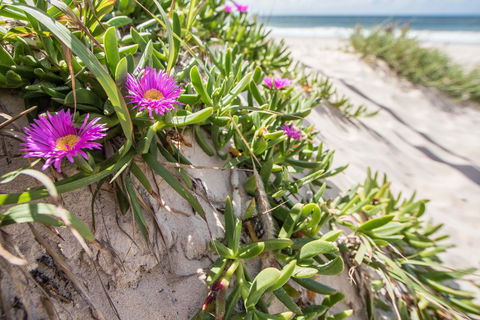 Fort Bribie - New Castle Holiday 0