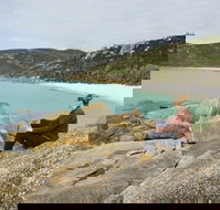 Foster - New Castle Holiday