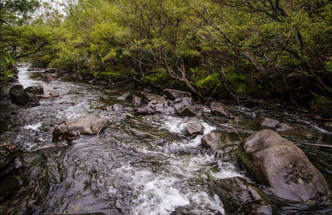 Gloucester River Walking Track - New Castle Holiday 0