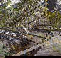 Governor Summit Corrunbral Borawah Walking Track - New Castle Holiday