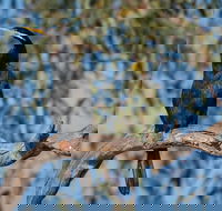 Greenough River Nature Trail - New Castle Holiday