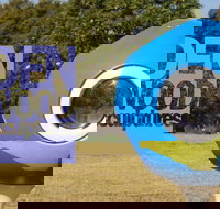 Hidden Rookwood Sculptures - New Castle Holiday