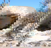 Hippo's Yawn - New Castle Holiday