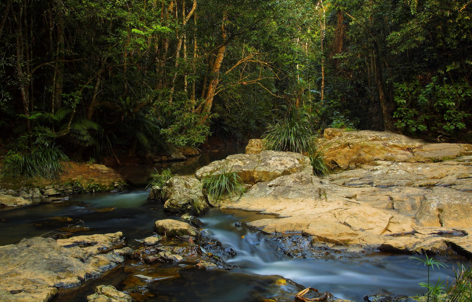 Tropical North Queensland QLD New Castle Holiday