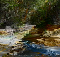 Jumrum Creek Walk Jumrum Creek Conservation Park - New Castle Holiday