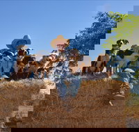 Katherine Outback Experience - New Castle Holiday