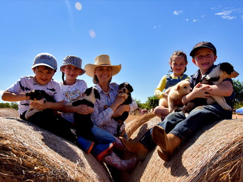 Katherine Outback Experience - New Castle Holiday 1