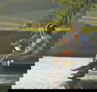 Lovedale - New Castle Holiday