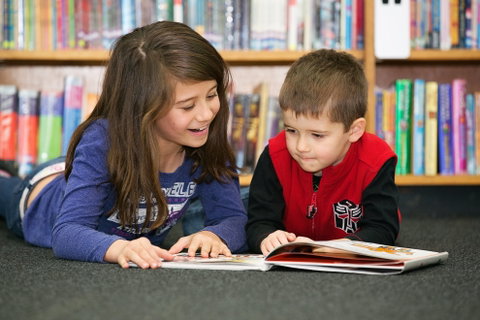 Maitland City Library - New Castle Holiday 0