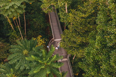 Mamu Tropical Skywalk - New Castle Holiday 2