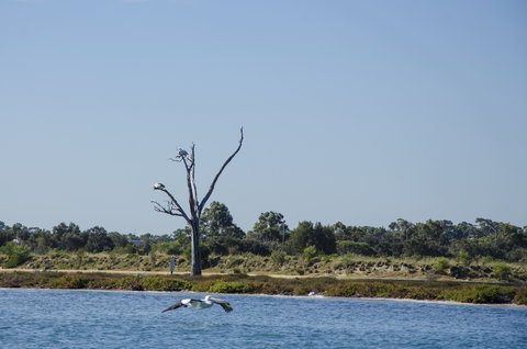 Mandurah Estuary And Peel Inlet - New Castle Holiday 1