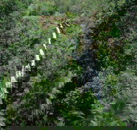 Mapleton Falls National Park - New Castle Holiday