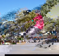 Millicent Skatepark - New Castle Holiday