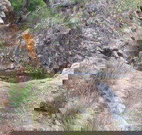 Mill-bullah Walking Track - New Castle Holiday