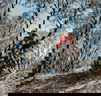 Mountain Bike Trails Deniliquin - New Castle Holiday