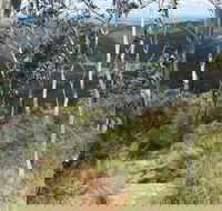 Mount Towac Walk - New Castle Holiday