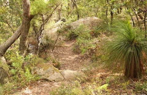 Mount Carnarvon Walking Track - New Castle Holiday 0