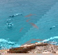 Nullarbor National Park - New Castle Holiday