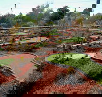 Orange Mini Golf - New Castle Holiday